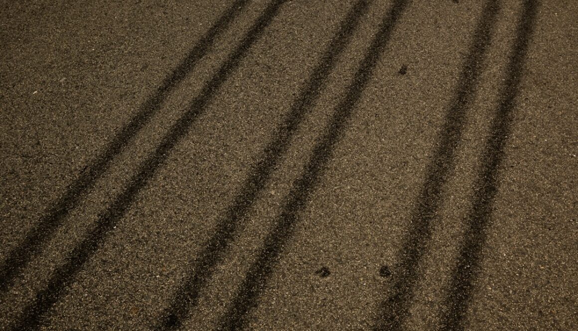 Tajemnice rajdów - co decyduje o sukcesie na trasach asfaltowych