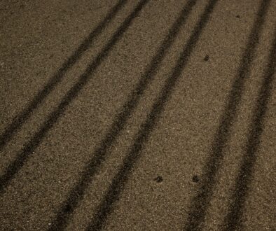 Tajemnice rajdów - co decyduje o sukcesie na trasach asfaltowych