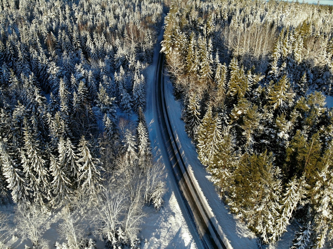 Jakie są najważniejsze punkty trasy w Rajdzie Szwecji - co musisz wiedzieć